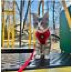 Adventure Kitty Voyager kattsele Röd