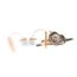 AFP Modern Cat Dimo ​​​​egg spinner