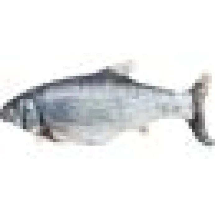 Aktiveringsleksak sprattlande fisk