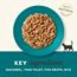 Applaws katt konserv ocean fish 70g