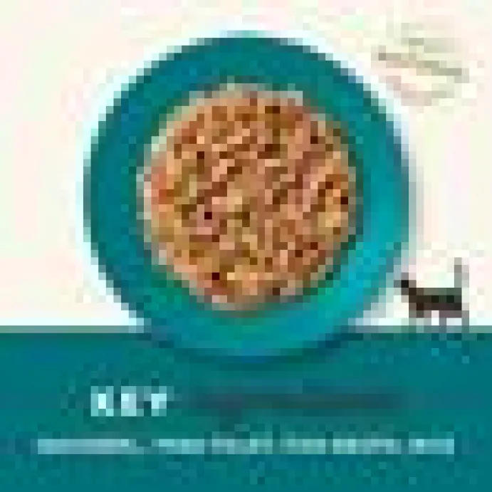 Applaws katt konserv ocean fish 70g