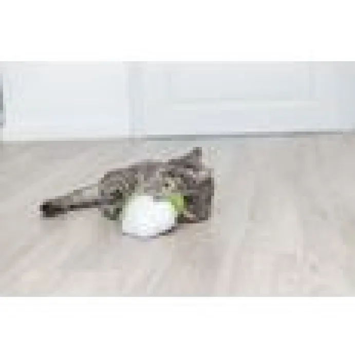Blomkål XXL plysch kattmynta 18 cm