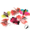 Butterfly Refill