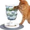 Cat It Senses Food Maze