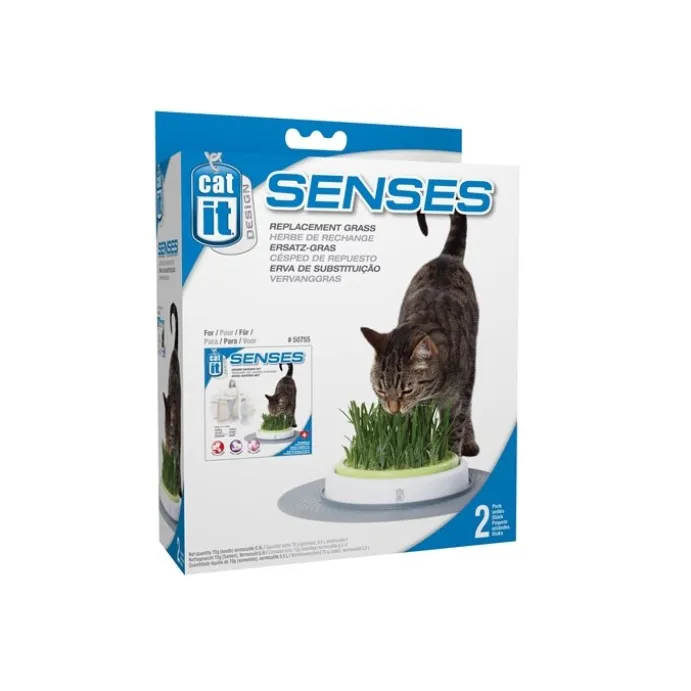 Cat It Senses Grass Garden