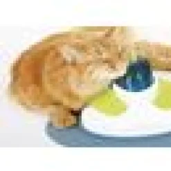 Cat It Senses Massage Center