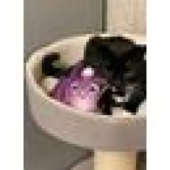 4cats Halloween Fladdermus Valeriana