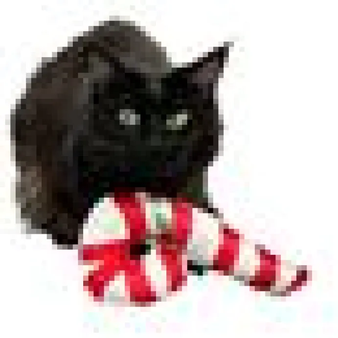 4cats Julkollektion Polkagris XL