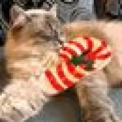 4cats Julkollektion Polkagris