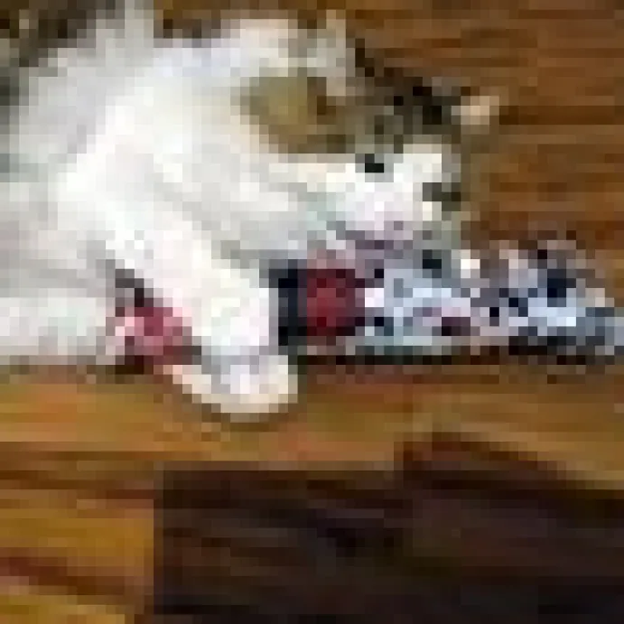 4cats Krazy kickeroo Kattmynta