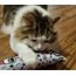 4cats Krazy kickeroo Kattmynta