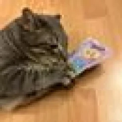4cats Monster Collection Mysig Kudde med Valeriana