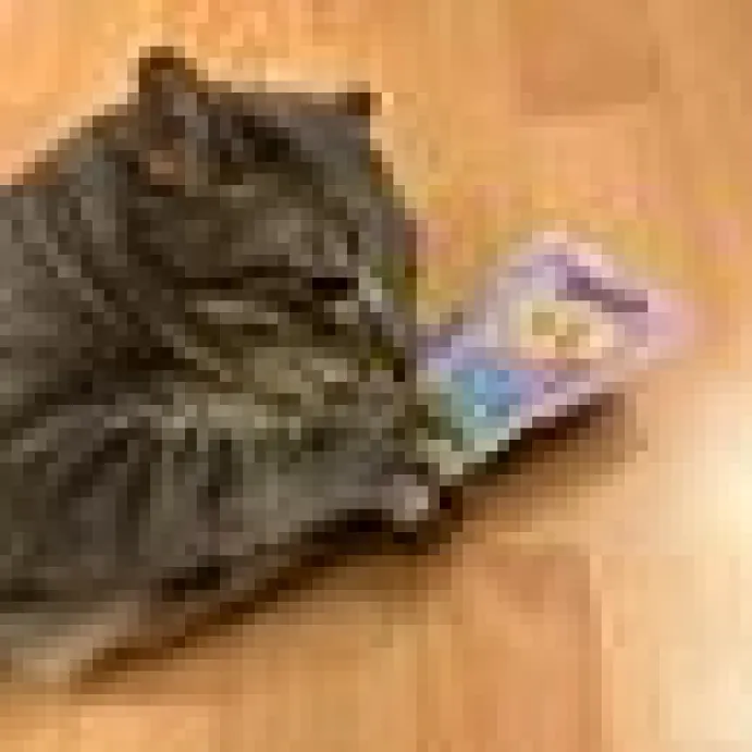 4cats Monster Collection Mysig Kudde med Valeriana