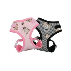 Catspia Moggy