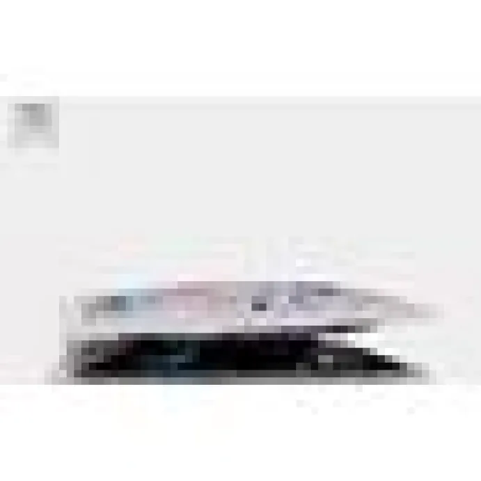 4cats Space Collection Kattmynta/silvervine