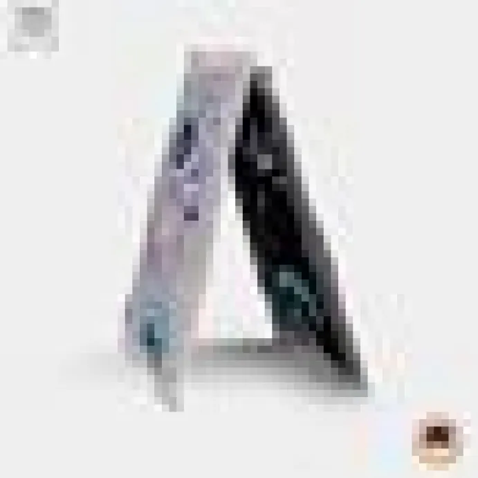 4cats Space Collection Kattmynta/silvervine