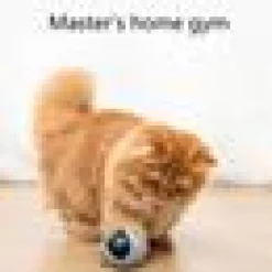 Colorful LED Self Rotating Pet Ball﻿