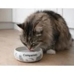 Companion kattskål med mönster