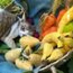 DreamCat Handmade - Banana