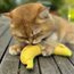DreamCat Handmade - Banana