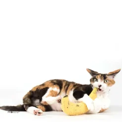 DreamCat Handmade - Banana