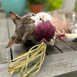 DreamCat Handmade - Beet