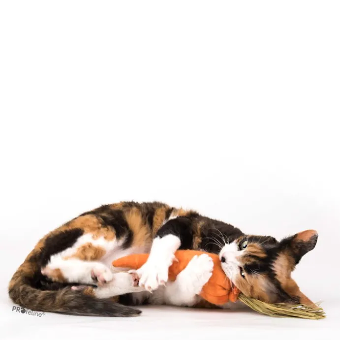 DreamCat Handmade- Carrot