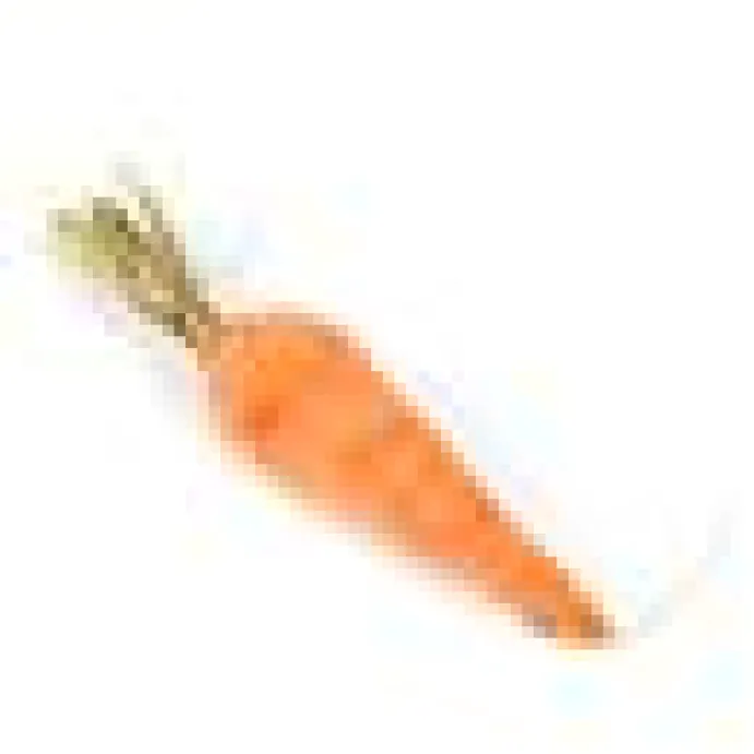 DreamCat Handmade- Carrot