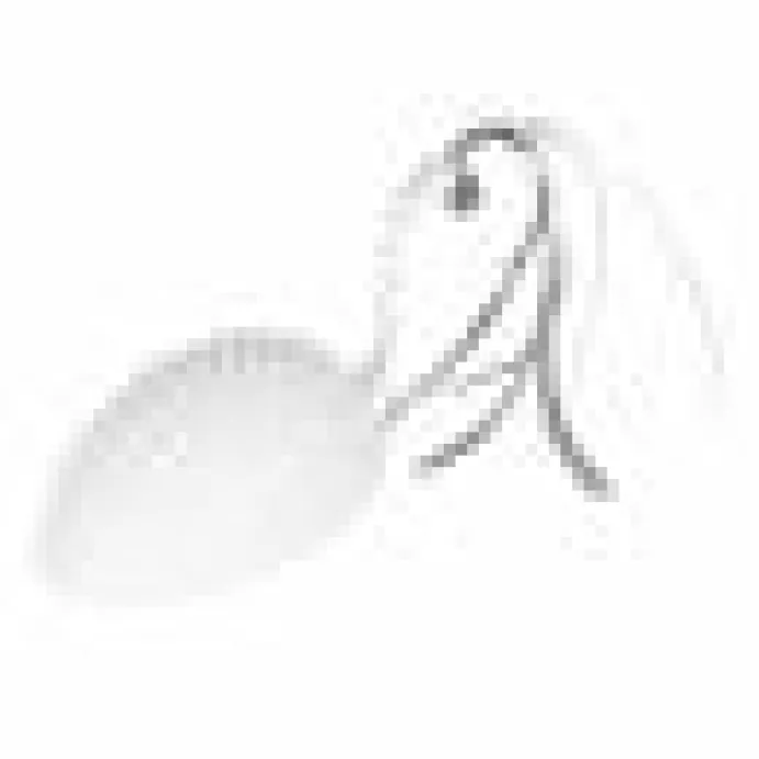 Electronic cat toy Mouse On The
