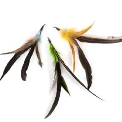Flatter Feather - 3 Set Refill