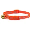 Halsband Kattunge Ancol reflex NeonOrange