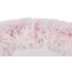 Harvey kattbädd vit-rosa