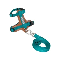 HiDream Leather Series kattsele Turkos