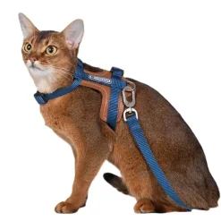 HiDream Leather Series kattsele Blå