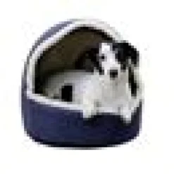 Igloo Angi