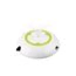 Interactives Wack A Mouse