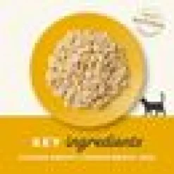 Kattfoder Applaws konserv Chicken 156g
