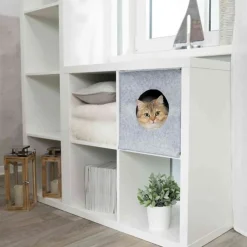 Kattgrotta Anton Grå