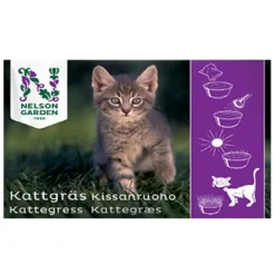 Kattgräs Innerkornshavre i Fröpåse