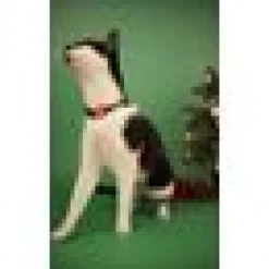 Katthahlsband Dashi Noel Jul