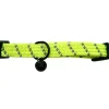 Katthalsband elastisk reflex neongul