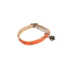 Katthalsband helreflex Orange med Nitar