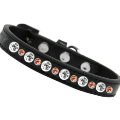 Katthalsband läder Posh Halloween strass
