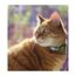 Katthalsband Rogz Reflectocat Lime Fish S