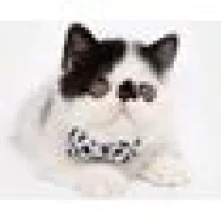 Katthalsband Vild katt