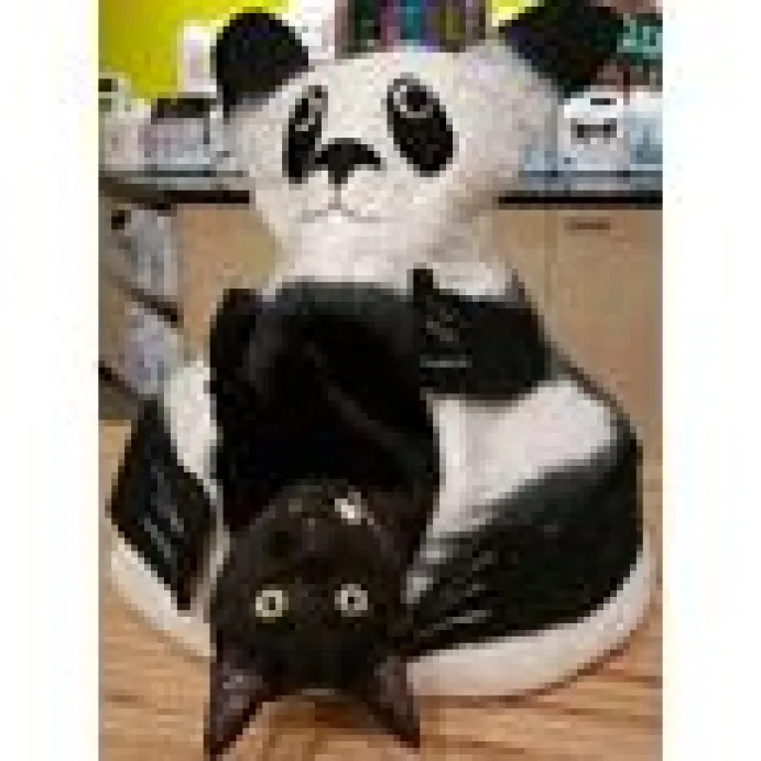 Kattigloo Pandagrotta