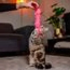 Kattleksak Boll med fjäder Rosa/svart