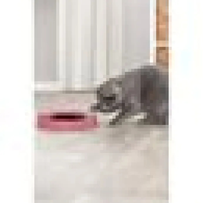 Kattleksak Catch the Mouse 25 cm