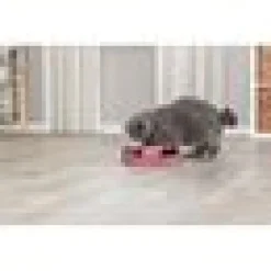 Kattleksak Catch the Mouse 25 cm