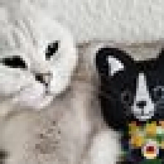 Kattleksak 4cats Lucy-figur Catnip silvervine